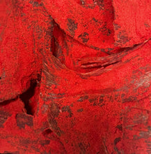 Load image into Gallery viewer, Fuego Carne Seca
